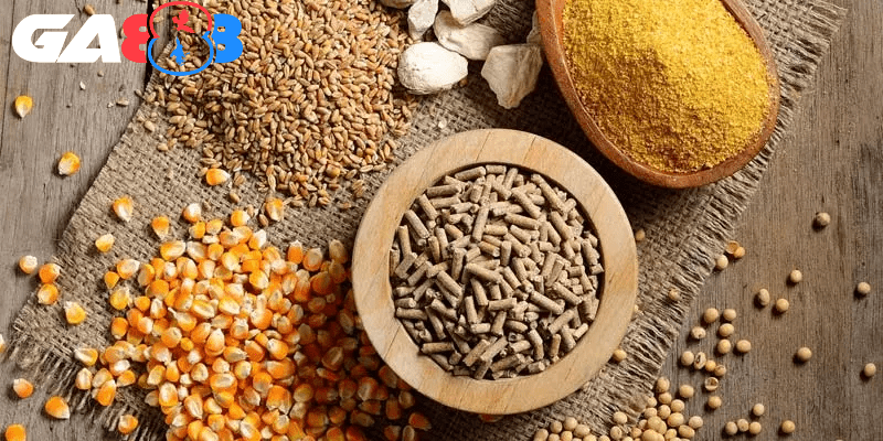 Bổ sung dinh dưỡng giúp gà nhanh chóng phục hồi