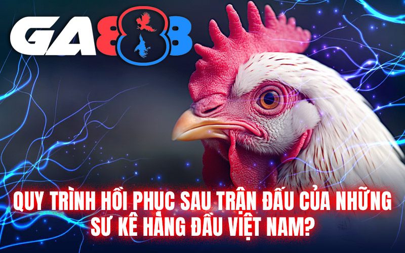 Quy trình hồi phục sau trận đấu của những sư kê hàng đầu Việt Nam?