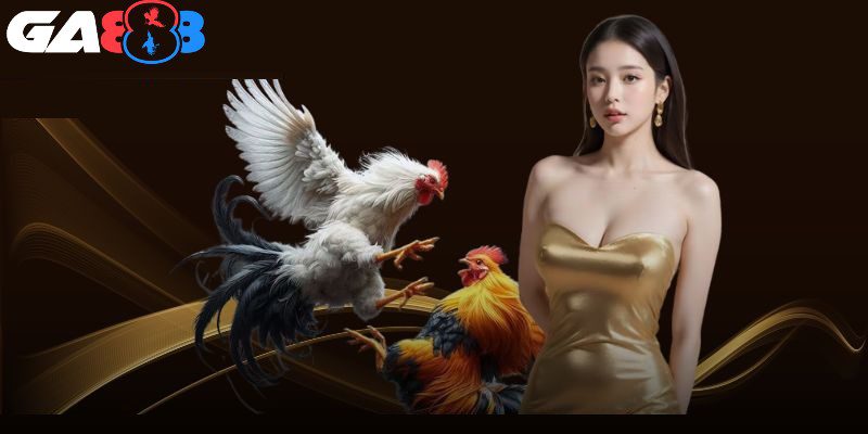 Đội ngũ hỗ trợ khách hàng chuyên nghiệp cho các thành viên khi tham gia