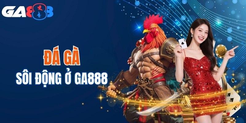 Giới thiệu GA888 hỗ trợ thành viên đá gà chuyên nghiệp